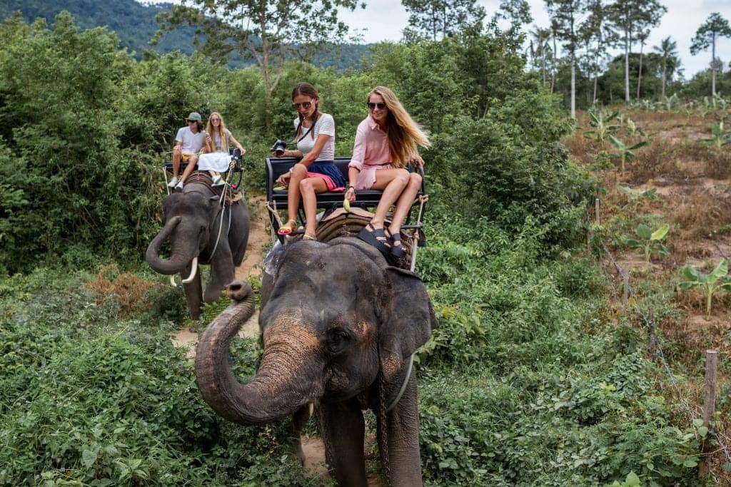 Riding elephants in Thailand