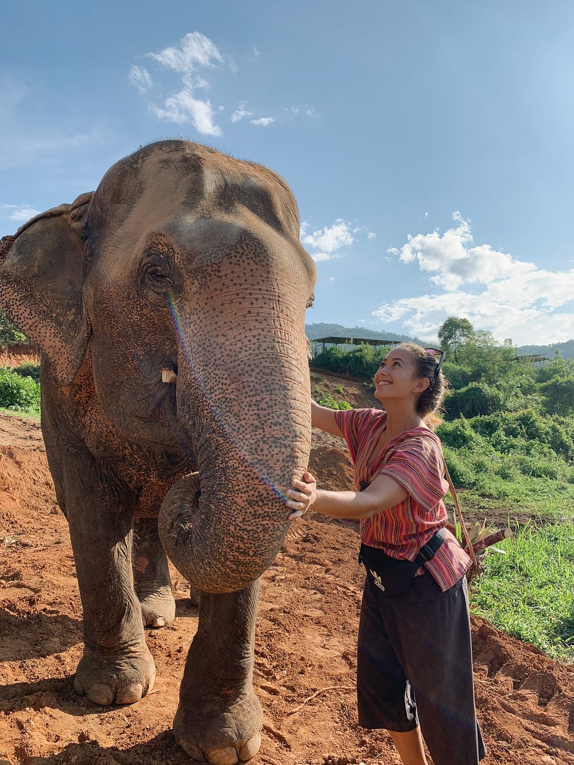 Visiting an ethical elephant sanctuary in Chiang Mai, Thailand