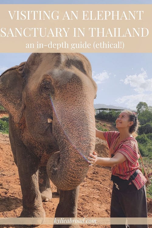 elephant sanctuary Thailand | bathing elephants | elephants Thailand 