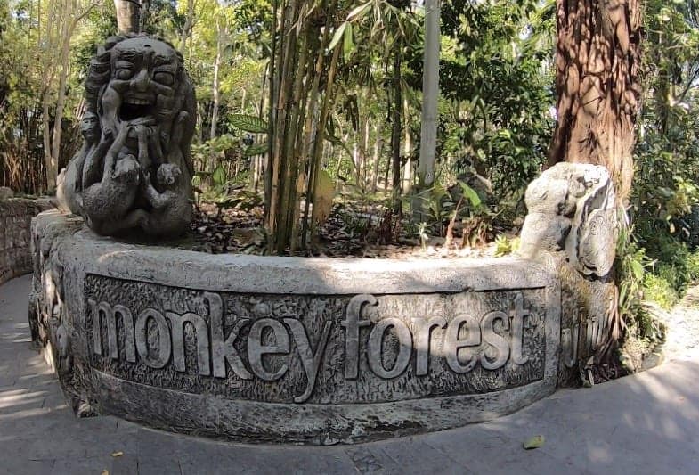 Your All-Inclusive Guide to Bali’s Monkey Forest
